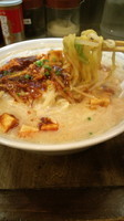 「〖今月の限定〗濃厚マーボー麺(コッテリ)800円」@味噌らーめんと中華 てつまるの写真