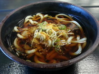 「かけうどん(260円)」@ゆで太郎 大森南店の写真