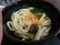 「かけうどん（２５０円）」@スナックインの写真