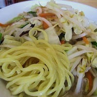「野菜タンメン　700円」@タンメン照の写真