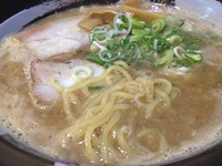 「然ら限界こってりらーめん 800円」@然屋高岡らーめんの写真