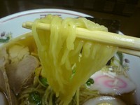 「半熟玉子ラーメン」@向嶋 だるまの写真