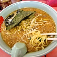 「辛味噌ネギラーメン＋中盛　790円+100円=890円」@ラーメン山岡家 牛久店の写真