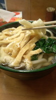 「きつね500円」@関西風手打ちうどん いらっしゃいの写真