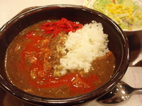 「特製カレー(380円)，2辛(40円)」@すき家 西船橋店の写真