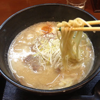 「煮干し豚骨！」@茨木きんせいの写真