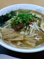 「辛味噌ラーメン」@KAMIKAWCHI GARDENの写真