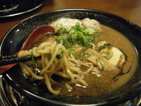 「味玉らぁ麺 800円」@麺屋 骨砕の写真