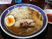 「【冬限定】白竜らーめん（小）680円（辛ダレ）」@らーめん伏竜 本店の写真