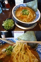 「「だし醤油ラーメン+九条ネギ(￥650+100)』」@夜鳴き軒の写真