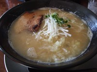 「濃厚系純鶏塩」@麺屋こころの写真