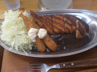 「ロースカツカレー　エビフライトッピング」@ゴーゴーカレー 輪島店の写真