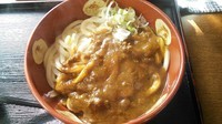 「ジャワ風カレー(ダブル) ￥700」@手打うどん総本家 得得 朝霞膝折店の写真
