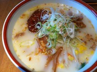 「とり白湯らーめん　８００円」@麺や 一徹の写真