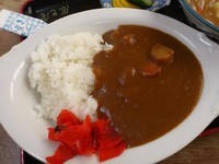 「ミニカレーライス\350」@辰巳庵の写真