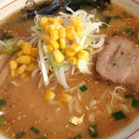 「からし味噌らーめん」@だるまや 本店の写真