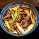 かけ肉うどん