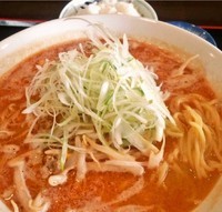 「担々麺(ライス付)800円」@ぺんぎん亭の写真