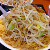 「特製ラーメン大盛+ ヤサイ増し+ ニンニク」@ジャンクガレッジ イオン北戸田店の写真