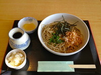 「おろしそば」@手打ち蕎麦 わの写真