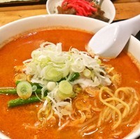 「元祖盛岡坦々麺＋牛スジ丼(ミニ)580円＋150円」@龍月館の写真