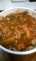 「カレー南蛮牛丼　並　４００円」@すき家 六角橋店の写真