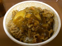 「カレー南蛮牛丼（並）\400」@すき家 稲荷町駅前店の写真