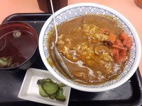 「カレー丼480円」@常盤軒 山手線ホーム店の写真