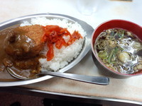 「コロッケカレー600円」@常盤軒 横須賀線ホーム店の写真