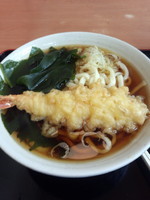 「大海老天うどん（わかめサービスデー）350円」@梅もと 品川店の写真