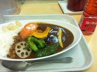 「大地の野菜カレー【850円】」@ライブカレー 南店の写真