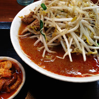 「辛味噌ラーメン野菜大盛+ほぐしチャーシュー」@味噌麺処 花道庵の写真