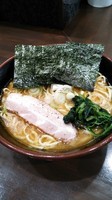 「ラーメン中盛り（固め、濃いめ、脂普通）」@究極汁麺 はねだ家の写真