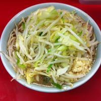 「小ラーメン （650円）」@ラーメン二郎 中山駅前店の写真