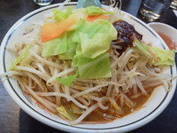「温野菜塩ハルピン（大盛り）」@ハルピンラーメン 松本並柳店の写真