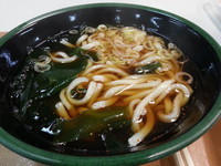 「かけうどん(２５０円職員価格)」@鮫洲食堂の写真