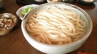 「釜揚げうどん+麦酒&十四代etc」@根津 釜竹の写真