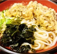 「冷やし舞茸うどん(600円)」@手づくりうどん 七味家の写真
