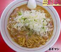 「味噌、ネギマシ（850円）」@札幌焼き味噌ラーメン みずきの写真