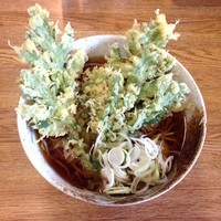 「春菊天そば（￥370）」@甲斐そばの写真