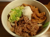 「冷やし肉きつねうどん」@源さんの写真