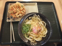 「はなまるうどん小190円＆野菜かき揚げ140円＝330円」@はなまるうどん 新千歳空港店の写真