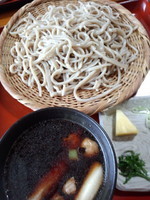 「鴨汁そば（太麺・大盛）998円」@古美根の写真