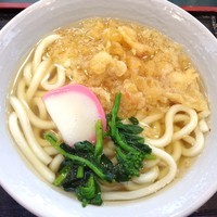 「たぬきうどん（￥290）」@小諸そば 芝店の写真