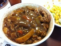 「カレー南蛮牛丼【500円】　サラダセット」@すき家 池上通り中央店の写真