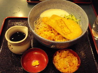 「冷やし月夜のばかしそば+大盛り 【390円+30円】」@小諸そば 神田北口店の写真