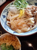 「みぞれぶっかけ（大）580円」@丸亀製麺 天王洲アイル店の写真