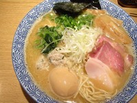 「特製濃厚魚介らーめん（中盛）」@麺屋 一燈の写真