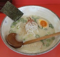 「鶏白湯らーめん・750円」@ささやん 塩ラーメンの写真