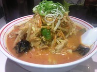 「五目味噌タンメン」@蒙古タンメン 中本 目黒店の写真